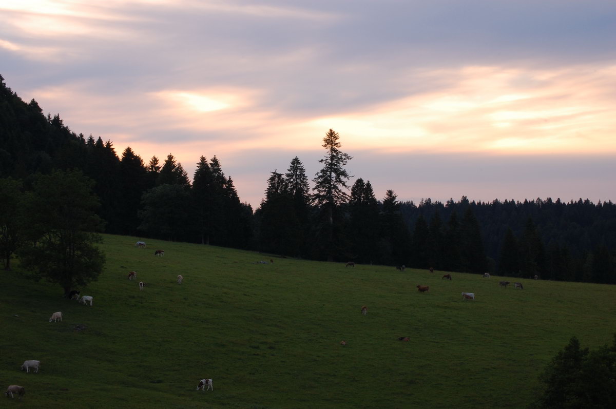 Předchozí obrázek: Fotogalerie//2008/Tour-de-Doubs/Tour-de-Jura/nahledy/tour-de-jura-1.jpg