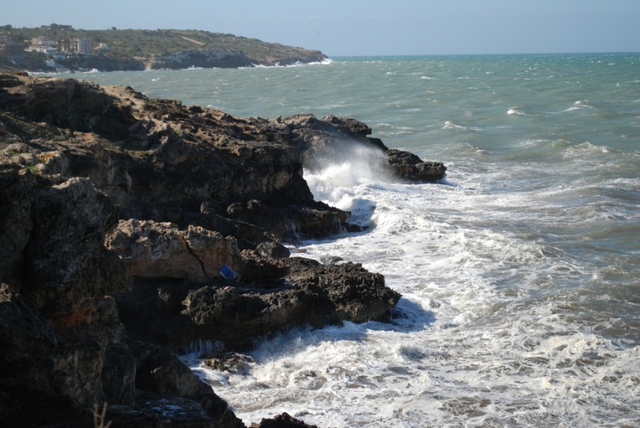 DSC_0628.JPG