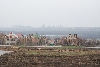 DSC_1459.JPG