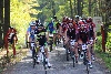 Předchozí obrázek: Fotogalerie//2015/TourdeBrdy/nahledy/1-Tour-de-Brdy---Sparta-(43).JPG