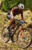Sparta-kral-SumavyIMG_1820.JPG