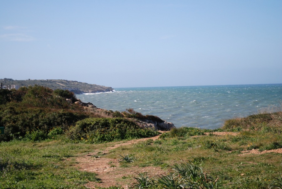 DSC_0552.JPG